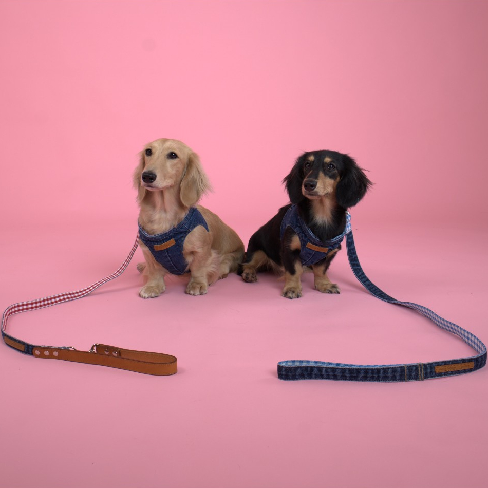 [Toto&Pal] Okayama Denim Leash | สายจูงสัตว์เลี้ยง รุ่นโอกายามะ เดนิม