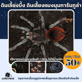 ดินเลี้ยงบึ้ง ดินเลี้ยงแมงมุม แมงมุมทารันทูล่า 1 ลิตร 50 บาท