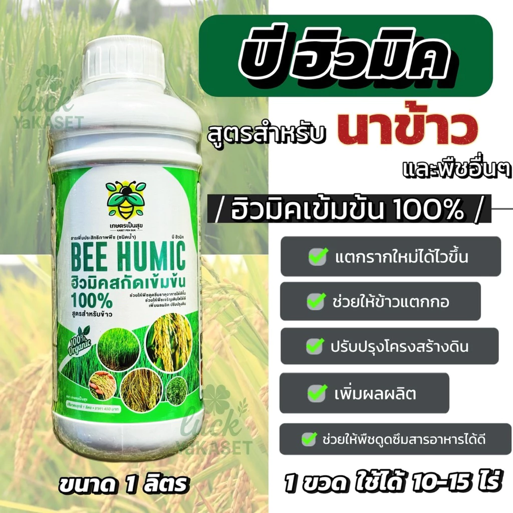 🔥พร้อมส่ง🔥 บีฮิวมิค 🌾 ฮิวมิคสกัดเข้มข้น100% ขนาด 1 ลิตร ช่วยเร่งการแตกรากแตกกอ ต้นใหญ่ใบเขียว ยืนต้นได้ดี เพิ่มผลผลิต