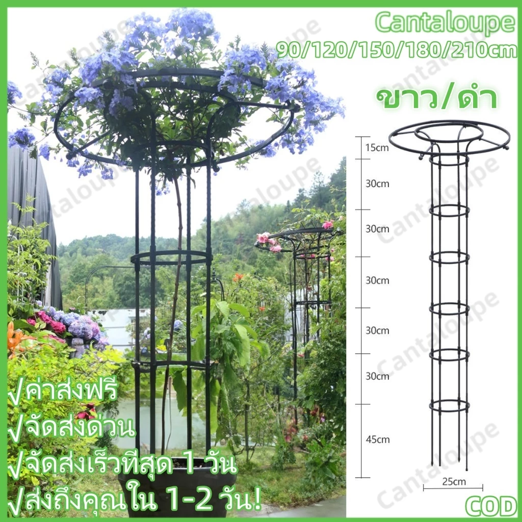 [ซุ้มกุหลาบ ชั้นวางดอกไม้ทรงร่ม] ท่อเหล็กเคลือบ PE กันสนิม+กันแดด ประกอบง่ายใน 5 กันสนิม โครงเหล็กดัด