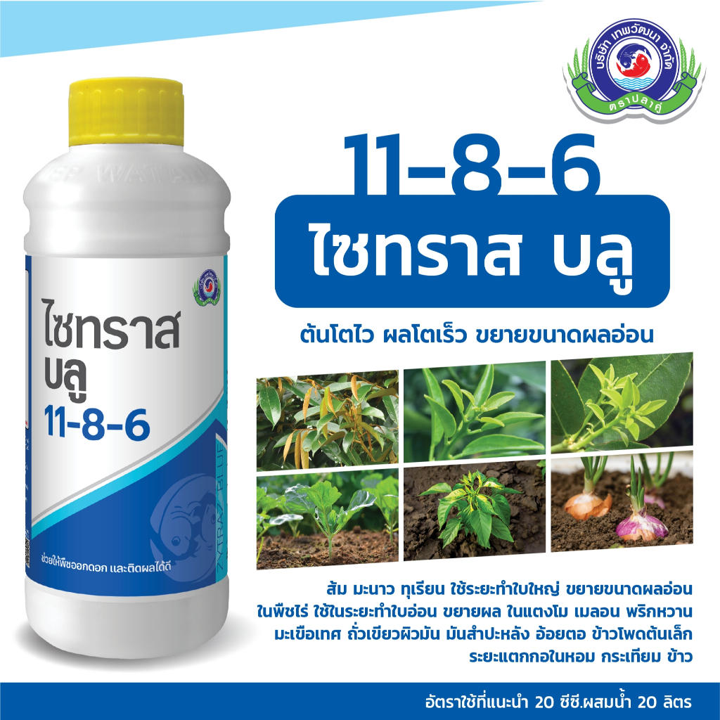 ขนาด 1 ลิตร ไซทราส บลู ปุ๋ยเหลวสูตร 11-8-6 บำรุงต้นให้โตไว ใบใหญ่ ใบเขียว เพิ่มการแตกกอ และเสริมลูกใหญ่ก่อนเก็บเกี่ยว ราคา ถูกที่สุด ดีลบีเคเค แกลเลอรีภาพที่ 2