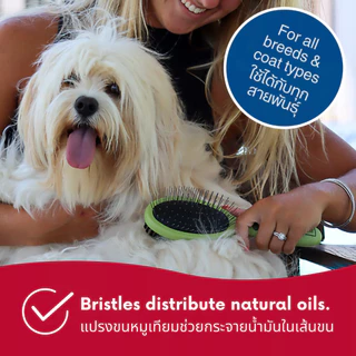 🇺🇸นำเข้าจาก USA🇺🇸 Safari by Coastal Pin and Bristle Combo Dog Brush แปลงขนสุนัข 2 ด้าน