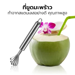 Alechaung ที่ขูดมะพร้าว ที่ขูดแครอท ที่ขูดเกล็ดปลา ที่ขูดผลไม้ อุปกรณ์ขูดอาหาร ใช้งานง่าย สแตนเลสอย่างดี
