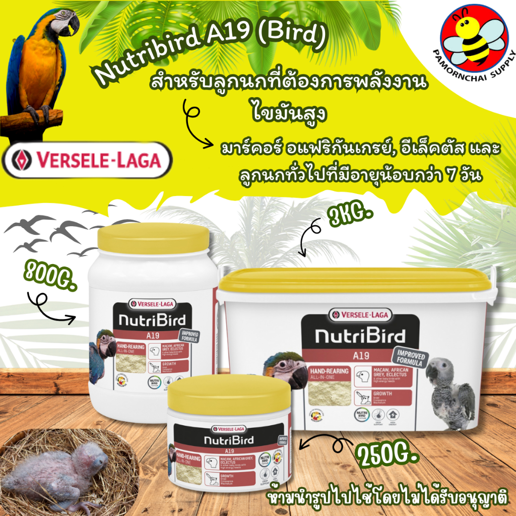 [A19] Nutribird อาหารนกลูกป้อนเอ 19  Nutribird A19 แบบกระปุก[250G./800G.]