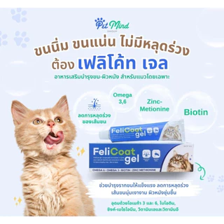 FeliCoat Gel อาหารเสริมแมว วิตามินสำหรับแมว บำรุงขน ผิวหนัง และเล็บ 50 กรัม