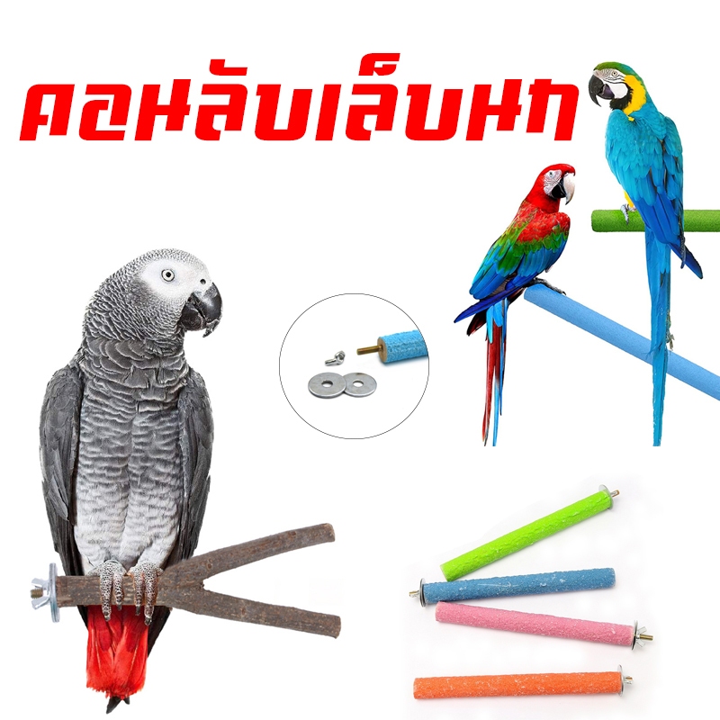 คอนลับเล็บ สำหรับนก คอนแบบติดกรง มีหลายขนาด ไม้คอนยืน คอนติดกรงไม้เเท้ ไม้เนื้อเเข็ง ของเล่นนก