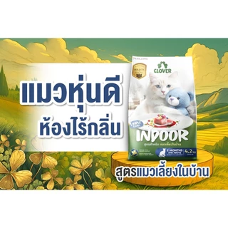 Clover อาหารแมว โคลเวอร์ ultra holistic & grain-free ตัวแน่นถนอมไต บำรุงขน ขนาด 4.2 และ 5 กิโลกรัม