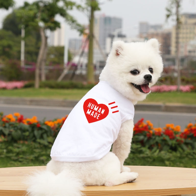 รูปภาพ 6