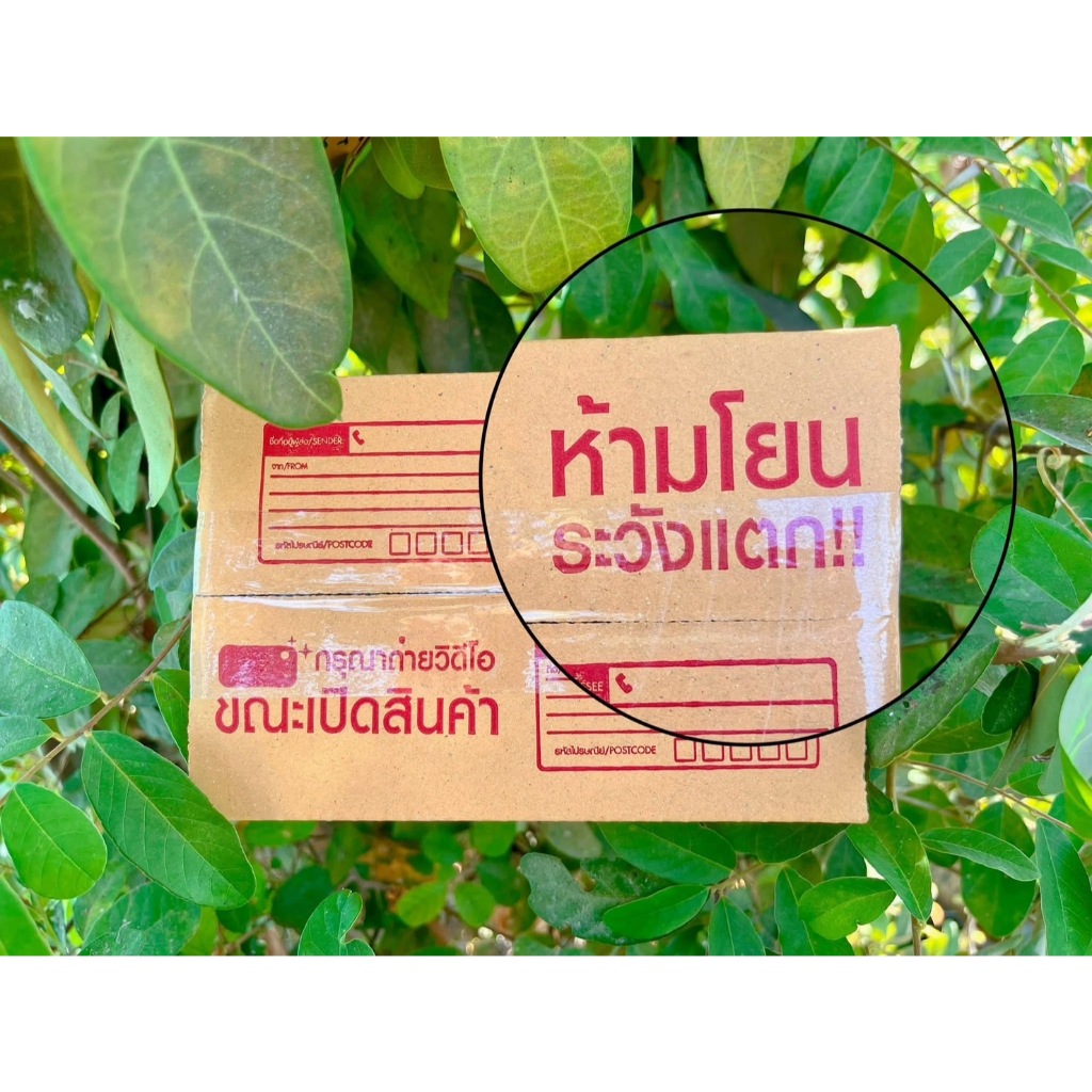 [ 20ใบ ] กล่องเบอร์ D+11 กล่องไปรษณีย์ กล่องฝาชน กล่องพัสดุราคาโรงงาน - รูปที่ 2