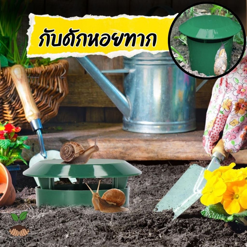กับดักหอยทาก ที่ดักหอยทาก สนามหญ้า สวนผัก เป็นมิตรต่อสิ่งแวดล้อม ควบคุมศัตรูพืชกับดักหอยทากพลาสติก