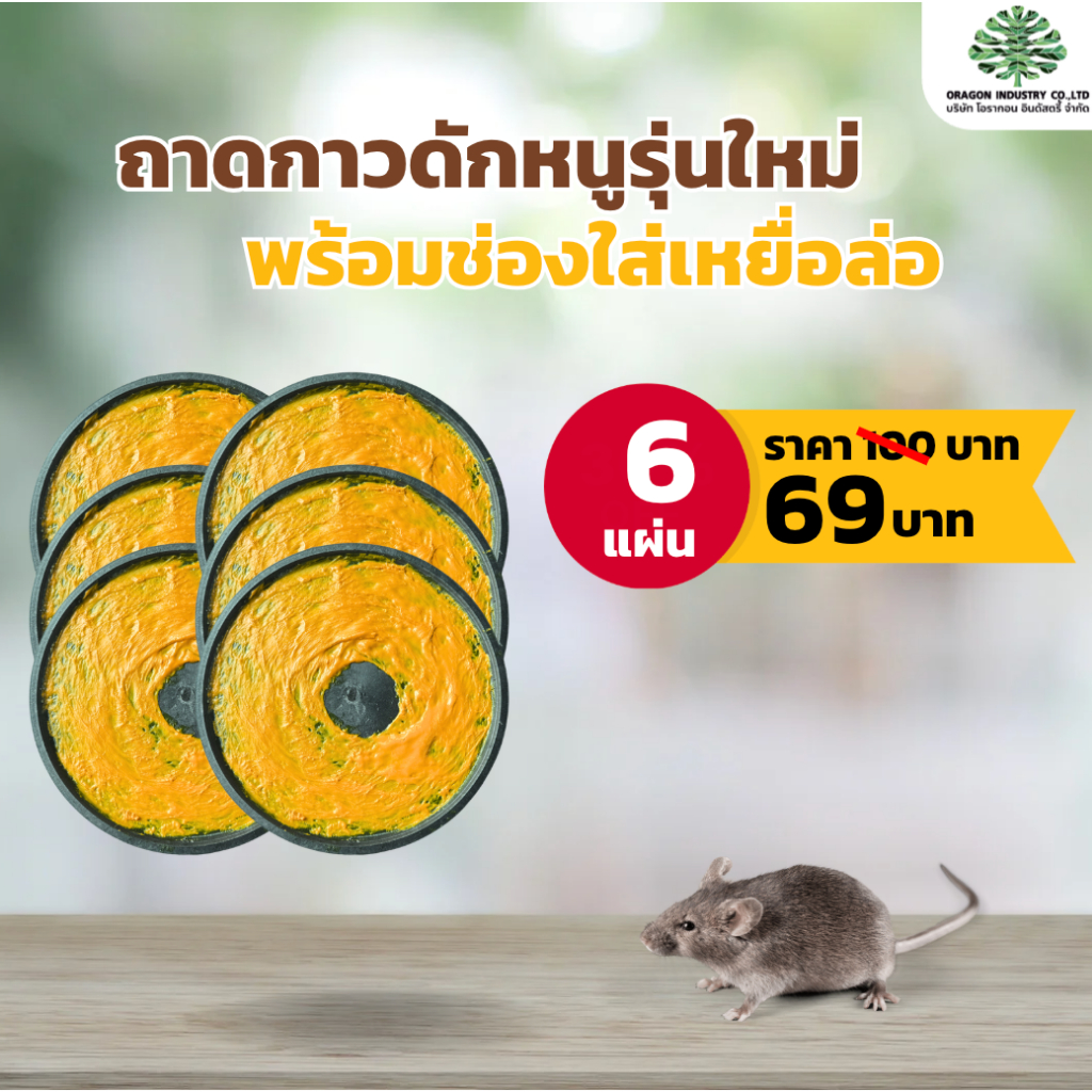 กาวดักหนู 6 ถาด 10 ถาด รุ่นใหม่ พร้อมช่องใส่เหยื่อล่อ ใช้งานง่าย สะดวก ไม่มีสารเคมี