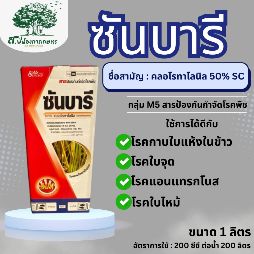 ซันบารี คลอโรทาโลนิล 1 ลิตร สารป้องกันกำจัดโรคพืช โรคใบจุด โรคราน้ำค้าง โรคใบจุดสีมาวง โรคใบไหม้ โรคแอนแทรคโนส