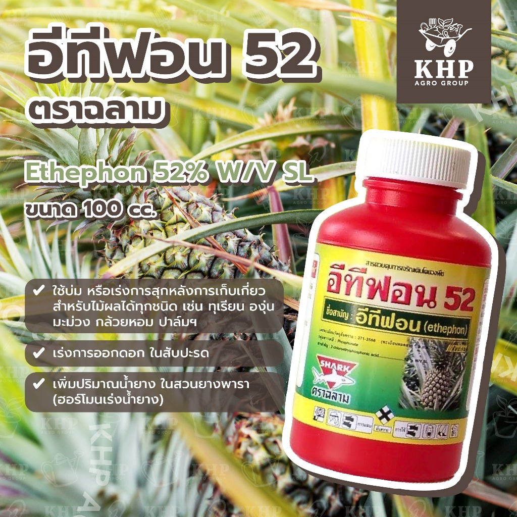 อีทีฟอน ตราฉลาม ขนาด 100 cc. บ่มผลไม้ เร่งการสุก ทุเรียน องุ่น มะม่วง กล้วยหอม ฯ เร่งออกดอกสับปะรด เพิ่มปริมาณน้ำยางพารา