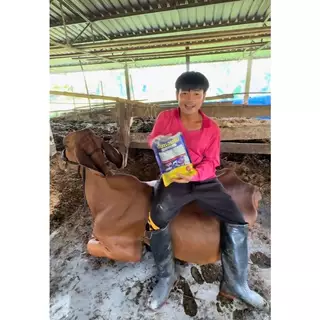 ตั้มแอมโม ผงลดกลิ่นมูลสัตว์ ลดความชื้น ลดแอมโมเนีย ผงแร่ธาตุเกรดพรีเมียม ชุด 12กิโล