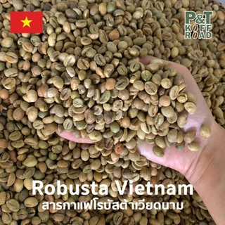 [พร้อมส่ง] สารกาแฟ Robusta Vietnam SC16 . โรบัสต้า เวียดนาม Green Bean รวม บรรจุ 500g - 1 kg. P&T KoffRoad