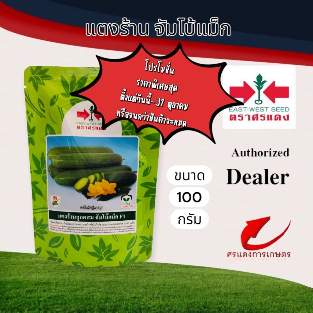 แตงร้านจัมโบ้แม็กขนาด 100 กรัม
