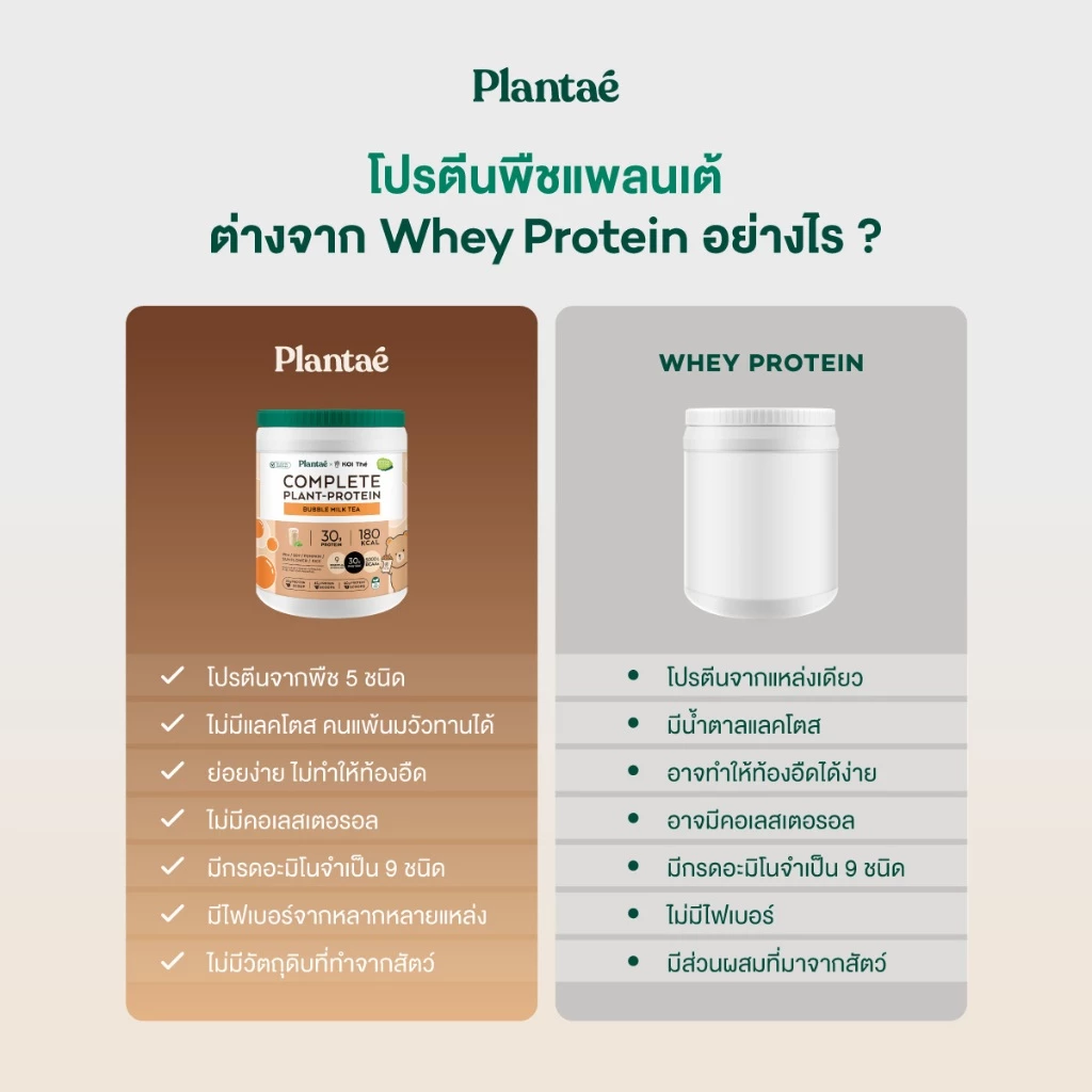 Plantae x KOI Thé Complete Plant Protein : Active BCAAs รส Bubble Milk Tea กระปุก800g โปรตีนพืช thumbnail 7