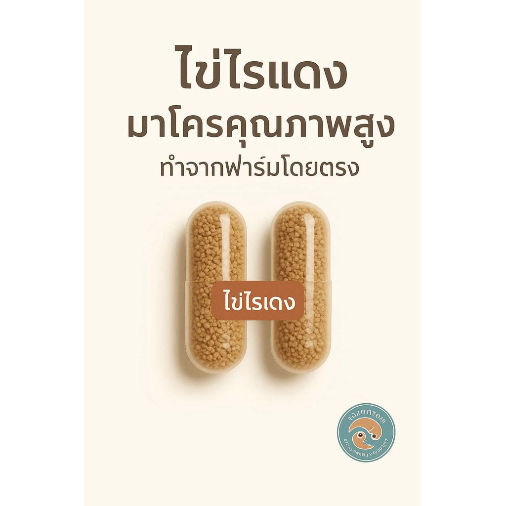 ไข่ไรแดงมาโครบรรจุ2แคบซูล