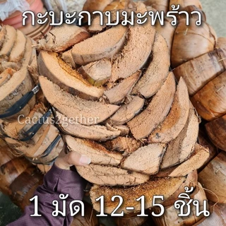 กาบอ่อน / กาบแข็ง กาบมะพร้าว ไม่มีเปลือก ชิ้นใหญ่ หนา ฟู ใช้งานง่าย
