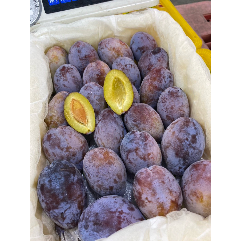 ลูกพรุนสด  รสชาต เปรี้ยว หวาน กรอบ อร่อย น้ำหนัก 4 กิโล ราคา 569บาท มีบริการส่งด่วน กรุงเทพปริมณฑล ทุกวัน