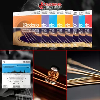 ซื้อ 3 ชุดลดเพิ่มอีก 2% สายกีต้าร์โปร่ง D'Addario Phosphor Bronze - Acoustic Guitar String เต่าแดง