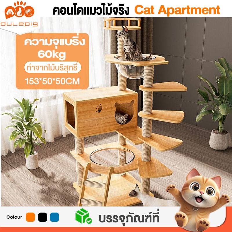 คอนโดแมว แข็งแรงมาก มั่นคง เสาลับเล็บ ขนาดใหญ่ สูง176CM คอนโดแมวไม้ คอนโดต้นไม้แมว condoแมว ที่ลับเล็บแมว คอนโดแมวใหญ่