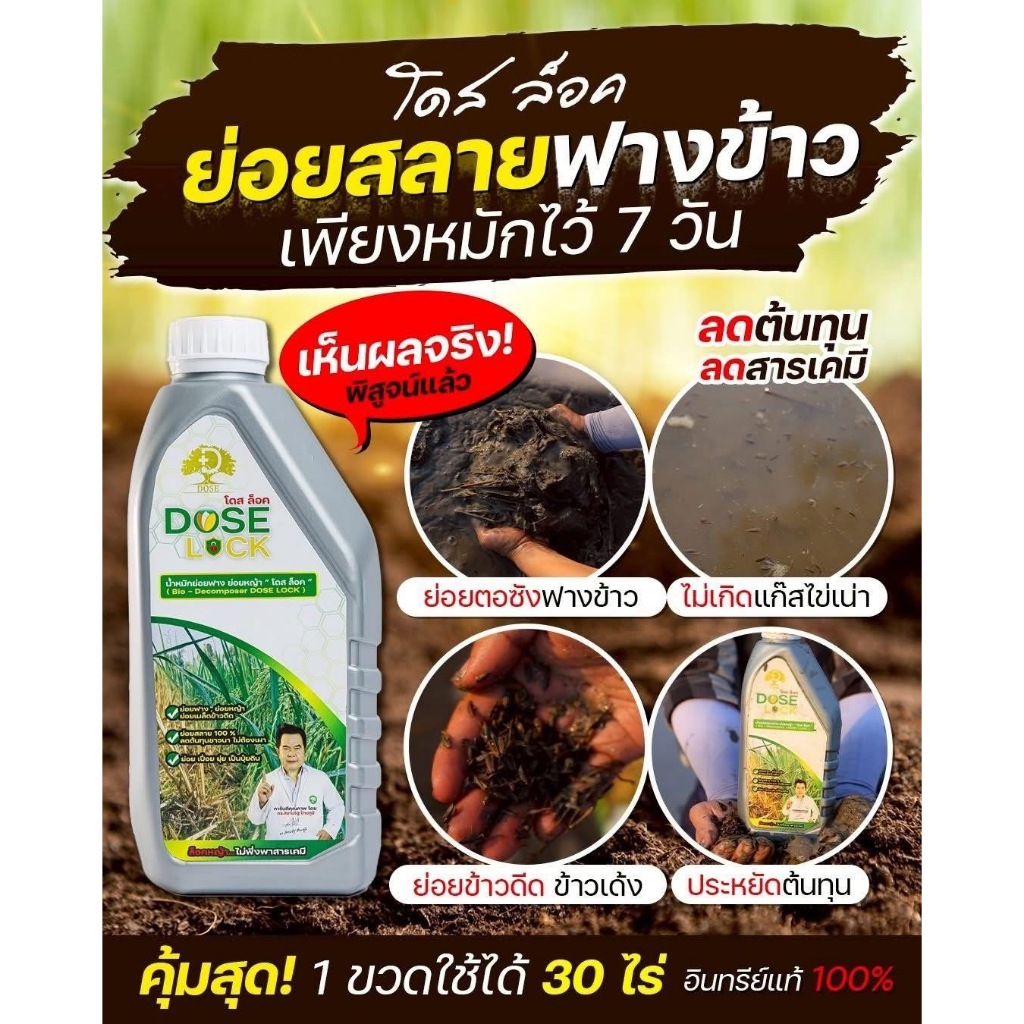 [สินค้าใหม่] DOSE LOCK โดส ล็อค ช่วยลดจำนวนข้าวดีด ข้าวเด้ง และช่วยย่อยสลายฟาง ตอซัง