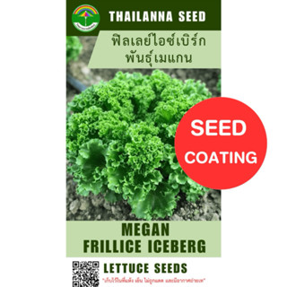 เมล็ดพันธุ์ผักสลัด ฟิลเลย์ไอซ์เบิร์ก พันธุ์เมแกน ( ขนาด 0.25…
