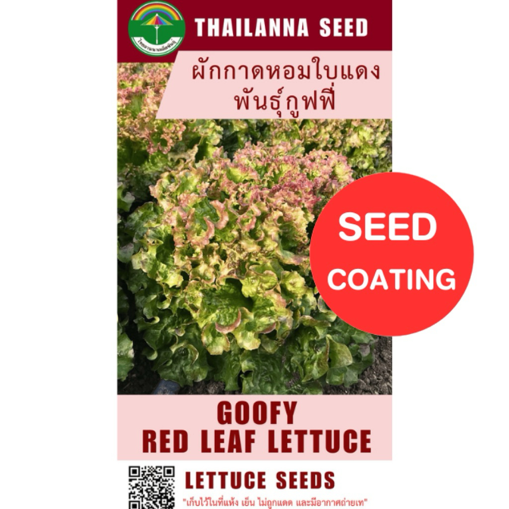 เมล็ดพันธุ์ผักสลัด ผักกาดหอมใบแดง พันธุ์กูฟฟี่ ( ขนาด 0.5 กรัม ) ( เมล็ดเคลือบ ) รหัสสินค้า SSC 1032