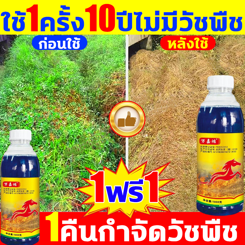 ยาฆ่าหญ้า ฆ่าหญ้า ทำให้รากเน่าและรากตาย ยาฉีดหญ้า ยาค่าหญ้า 1คืนกำจัดวัชพืช ถั่วลิสงน้ำ ฮิวมูลัส หญ้าเอ็นวัว มุง ฯลฯ