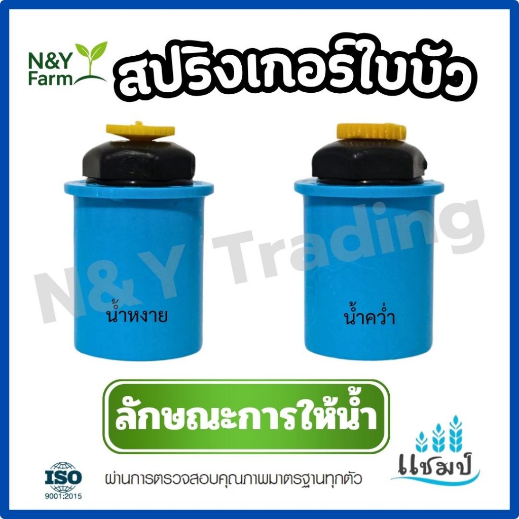 สปริงเกอร์ใบบัว คว่ำ-หงาย น้ำแรง 360° ใช้กับท่อ PVC 1/2” ได้ทันที ติดตั้งง่าย รดน้ำทั่วถึง