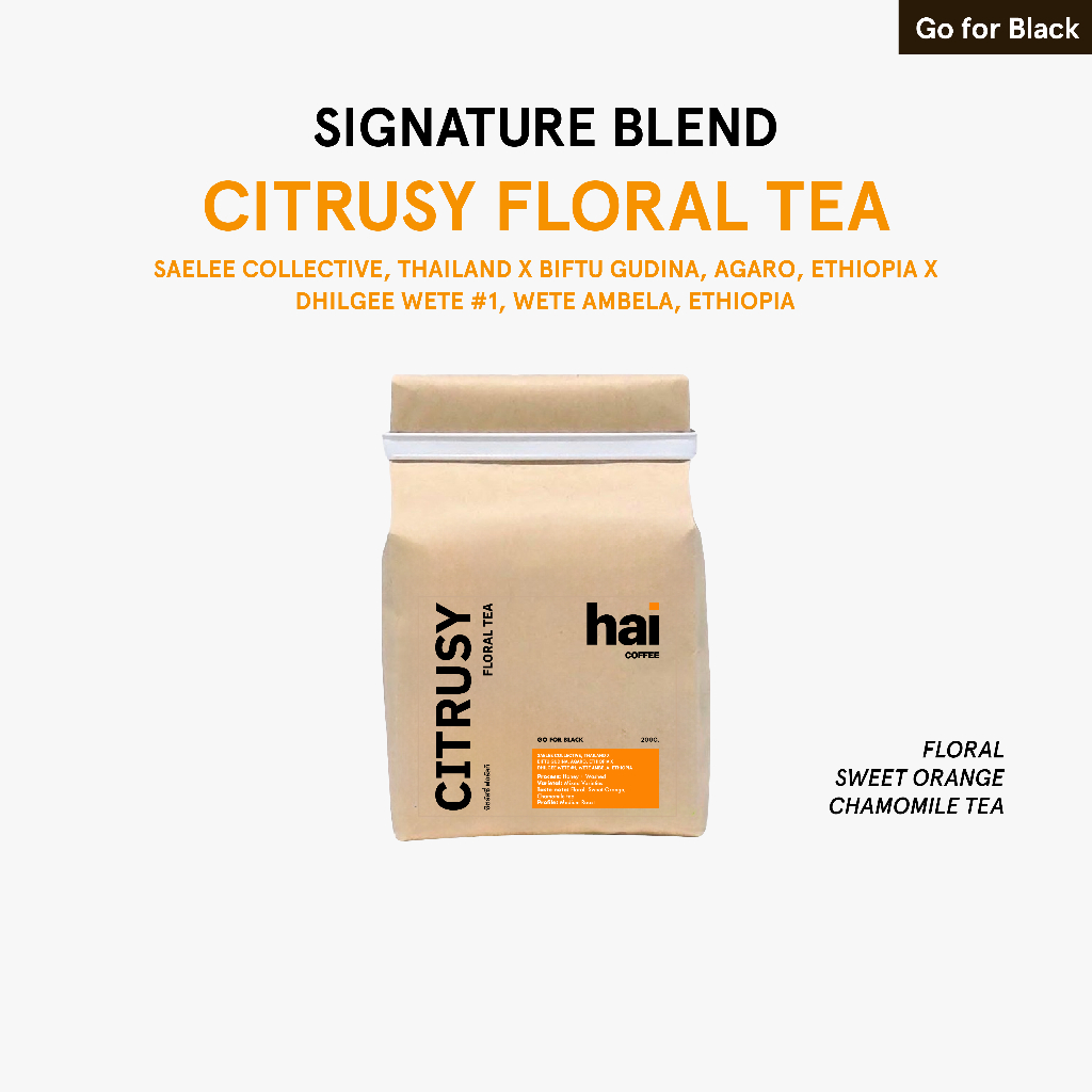Hai coffee blend Citrusy floral tea เมล็ดกาแฟคั่วกลาง