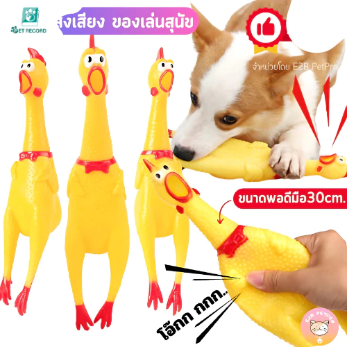 Pet Record ไก่โอ๊กร้องดัง ตุ๊กตาไก่ ของเล่นมีเสียง ของเล่นยางกัด
