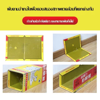 กาวดักหนู กาวดักหนู เหนียวพิเศษ ติดทน ไม่ไหลเยิ้ม ปลอดสารพิษ สามารถใช้ได้ทั้งสองด้าน