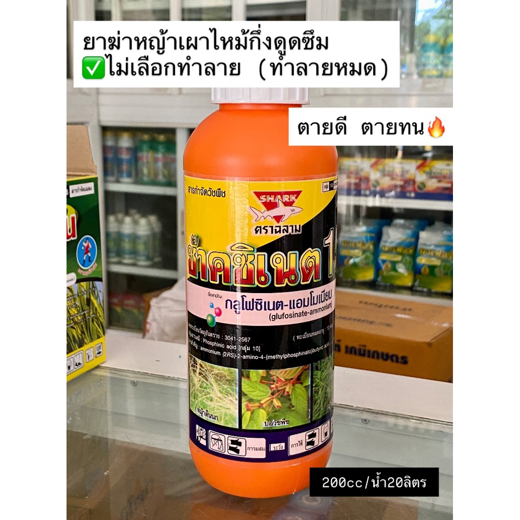 ช๊าคซิเนต15 (ยกลัง 3 แกลลอน) กลูโฟซิเนต-แอมโมเนียม ขนาด 4 ลิตร ตราฉลาม ใช้กำจัดหญ้าใบแคบและใบกว้าง สารกําจัด วัชพืช