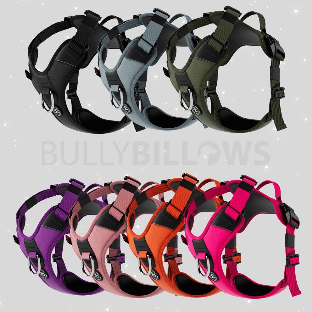 สายรัดอกสุนัข BullyBillows Hurricane Harness - Non Restrictive, With Handle, Adjustable & Reflective