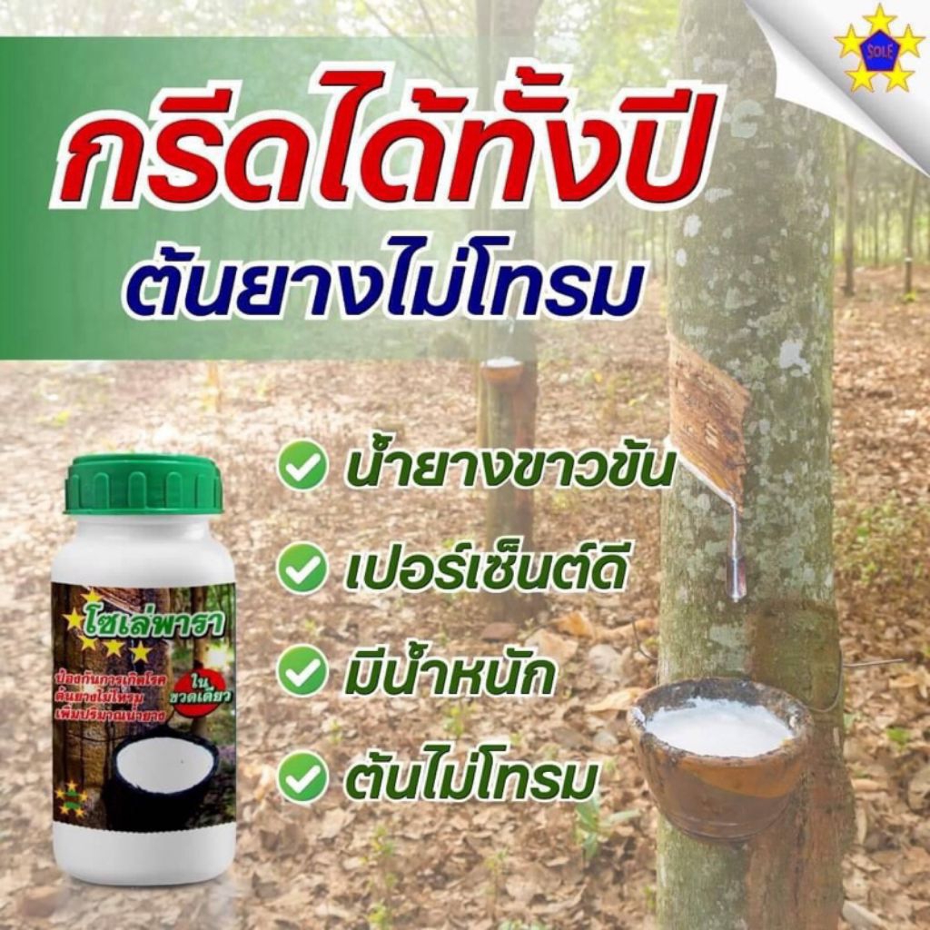 โซเล่พารา น้ำยาทาหน้ายาง เพิ่มปริมาณน้ำยางต้นยางไม่โทรม ป้องกันการเกิดโรค เชื้อรา เปลือกนิ่มกรีดง่าย เกษตรกรใช้แล้วรวยๆๆ