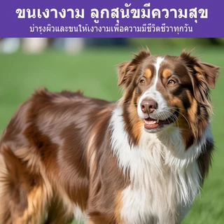 Popoo Skin & Coat Support for Dogs บำรุงเส้นขนและผิวหนัง ลดการหลุดร่วงของเส้นผม ขนมสุนัข 120 แคปซูล