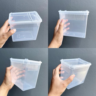 Reptile Box กล่องสัตว์เลื้อยคลาน [แบบสูง 15x10x13cm] เลี้ยงส…