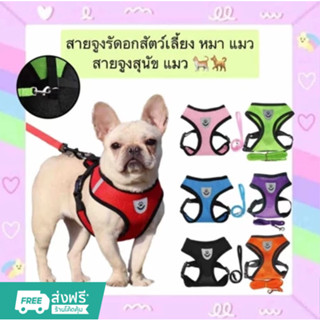 🔥พร้อมส่งในไทย✨จูงหมา สําหรับสัตว์เลี้ยง สุนัข แมว กระต่าย ข…