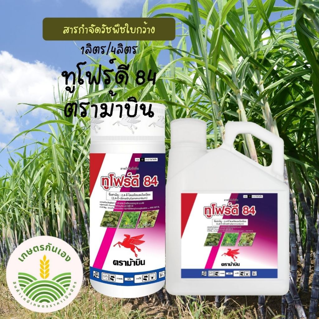 ทูโฟร์ดี ขนาด 1ลิตร/4ลิตร ฉีดหญ้าใบกว้าในนา ในอ้อย ตราม้าบิน