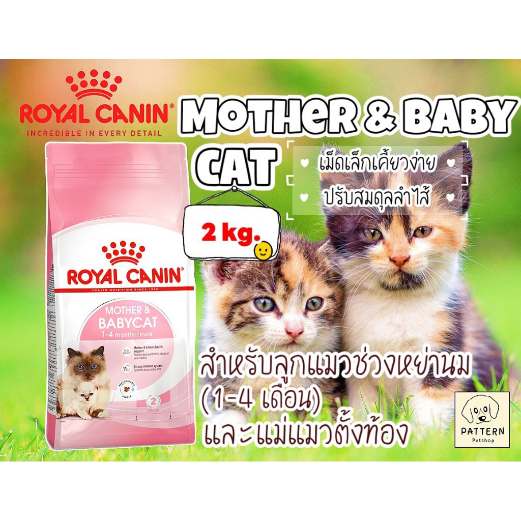 Royal Canin Mother & Baby cat 2 kg. (อาหารเม็ดสำหรับลูกแมวช่วงหย่านม 1- 4เดือนและแมวระยะตั้งท้อง)