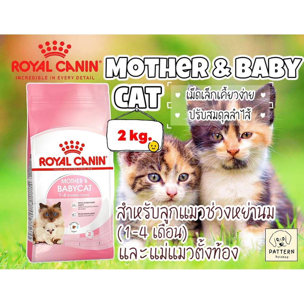 Royal Canin Mother & Baby cat 2 kg. (อาหารเม็ดสำหรับลูกแมวช่วงหย่านม 1- 4เดือนและแมวระยะตั้งท้อง)