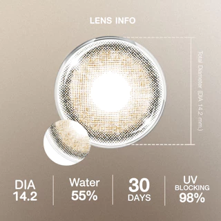 Eyes On : Capture and Confident คอนแทคเลนส์รายเดือน สี Backstage Brown / Runway Gray