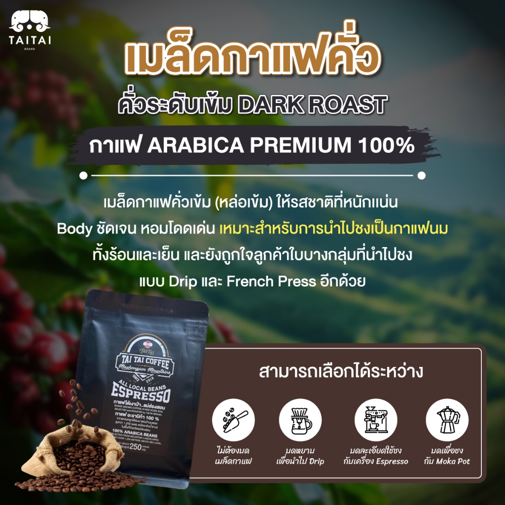 เมล็ดกาแฟคั่ว (คั่วระดับเข้ม) กาแฟอะราบิก้า Premium 100% จากจังหวัดแม่ฮ่องสอน ปลูกใต้เร่าเงาแห่งป่าบนดอยสูงกว่า 1,200ม. - รูปที่ 2