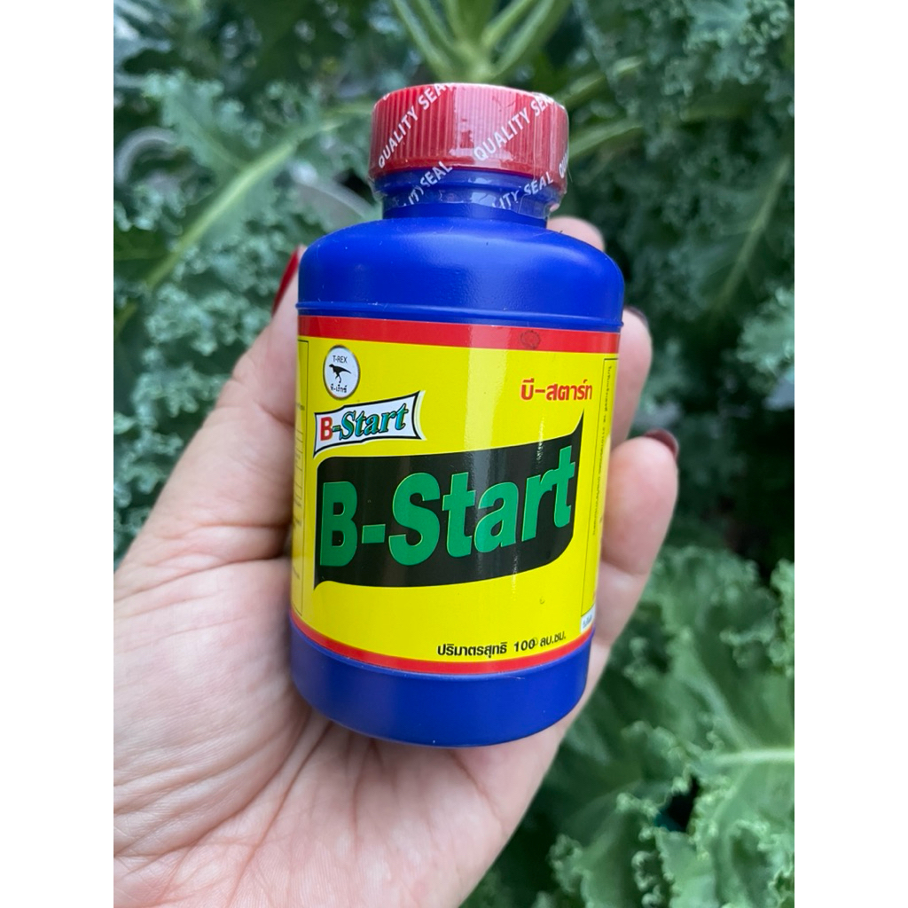 เร่งราก-B-startเสริมการแตกราก