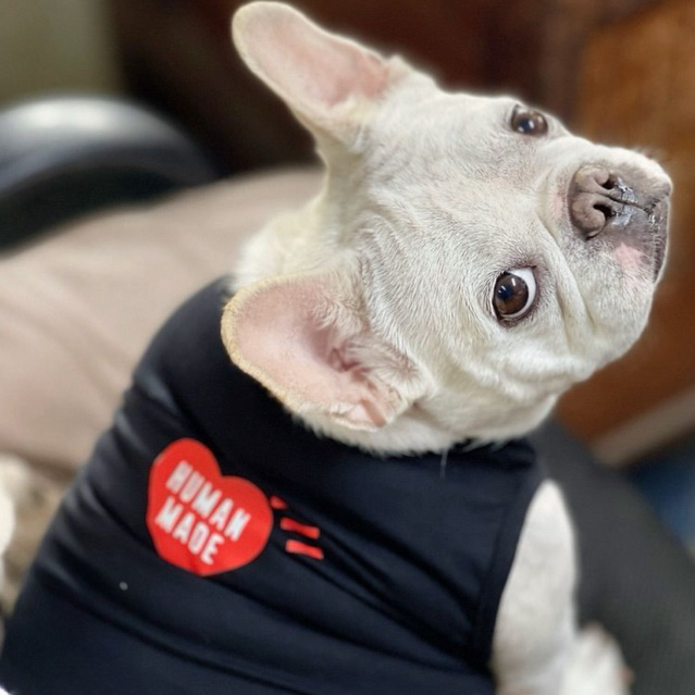 รูปภาพ 2