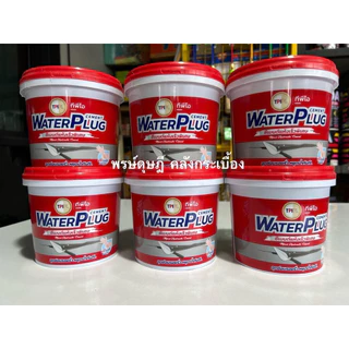 TPI WaterPlug Cement M680 (ทีพีไอ วอเตอร์ปลั๊ก) ปูนซีเมนต์อุดกันรั่วซึม ขนาด 1 กก.