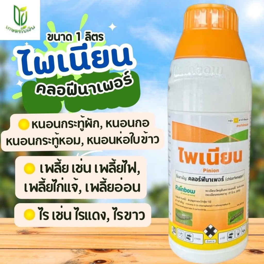 ไพเนียน คลอฟีนาเพอร์10% ขนาด 1 ลิตร ยาเย็นฉีดได้ทุกช่วง