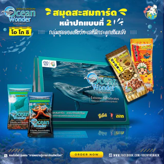 🌊✨สมุดสะสมการ์ด Animal Kingdom : Ocean Wonder “การ์ดความรู้อาณาจักรสัตว์โลก”